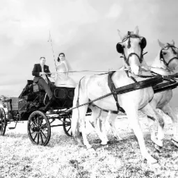 Para młoda w czarno-białej sesji zdjęciowej, jadąca bryczką zaprzężoną w dwa białe konie, z wyraźnym pierwszym planem koni i rozmytym tłem łąki i nieba.