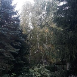 Pielęgnacja ogrodów Sieciechów 9