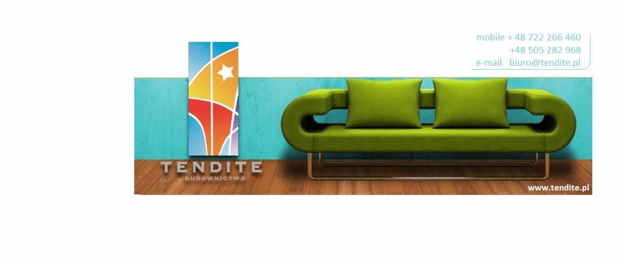 Stylowa strona firmy budowlanej Tendite z zieloną sofą i kolorowym logo. Kontakt: mobile, e-mail, www.tendite.pl. Nowoczesny design, turkusowe tło, drewniana podłoga.