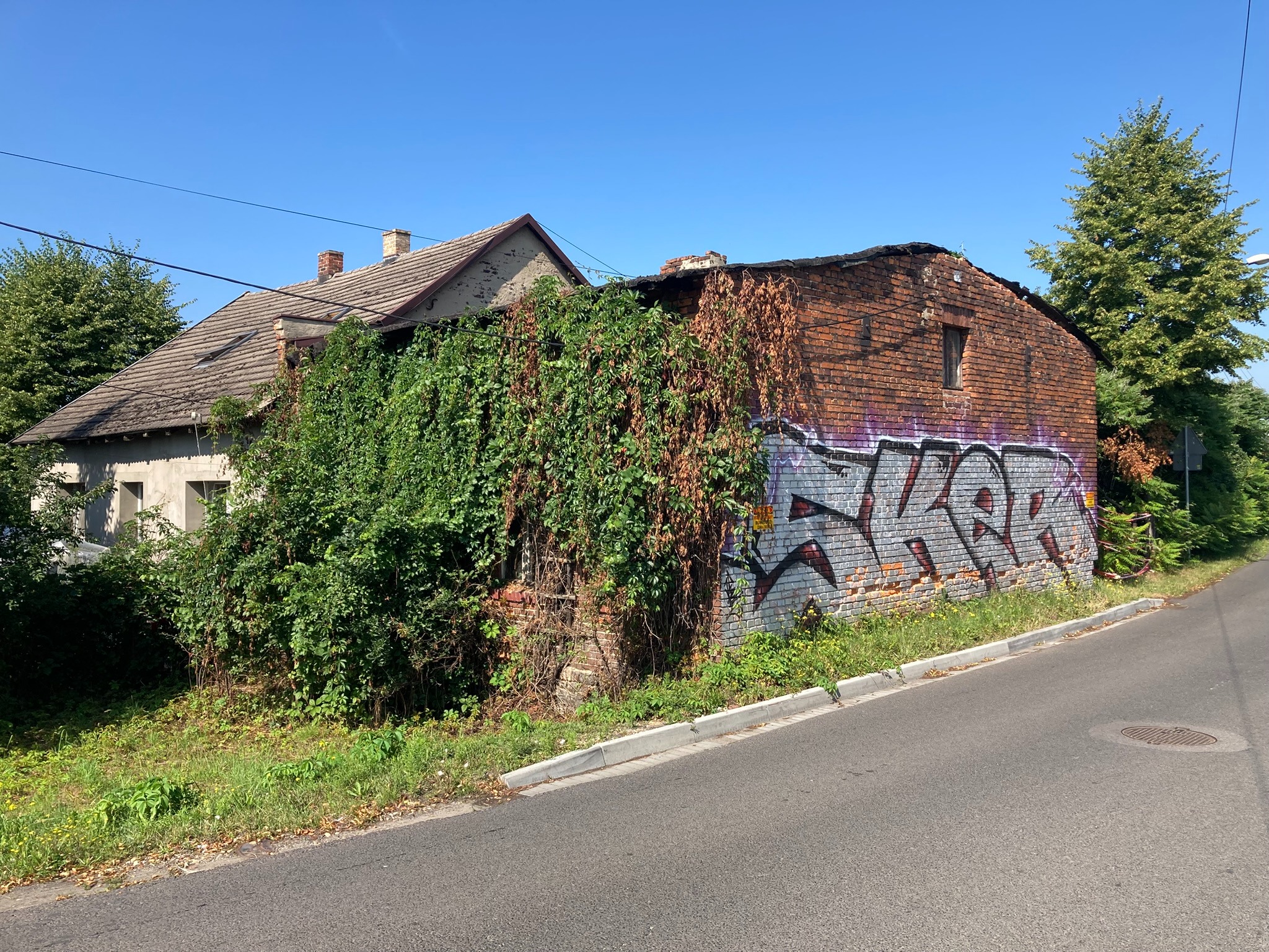 Zrujnowany, ceglany budynek z graffiti i bujną roślinnością, częściowo porośnięty bluszczem. Widoczne ślady rozbiórki i brak dachu w jednej części. Ujęcie z poziomu ulicy.