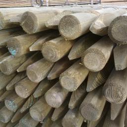 paliki sosnowe impregnowane w autoklave