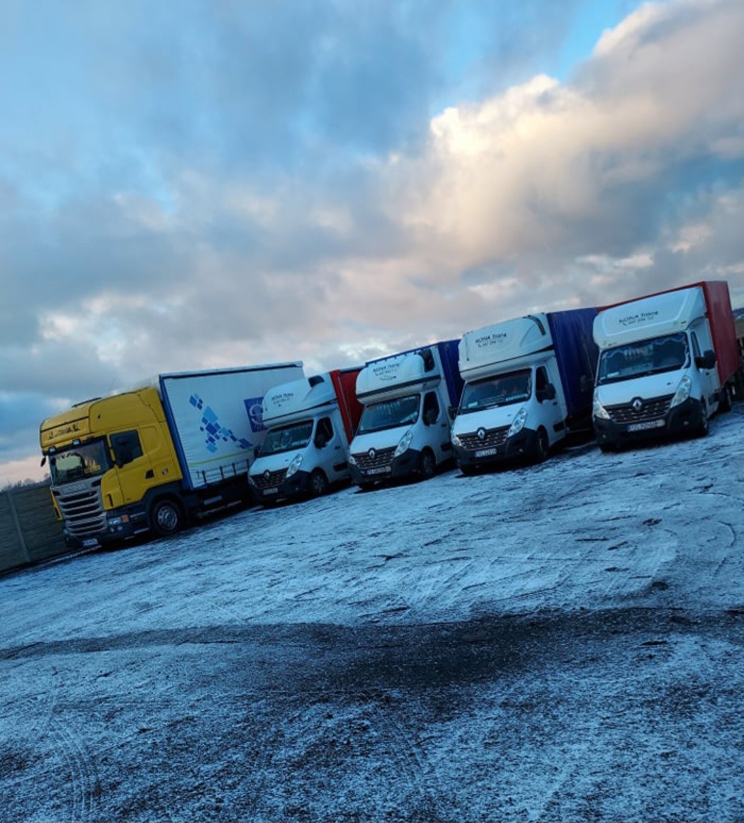 Rząd zaparkowanych samochodów dostawczych i ciężarowych różnych marek na zimowym parkingu pod pochmurnym niebem.
