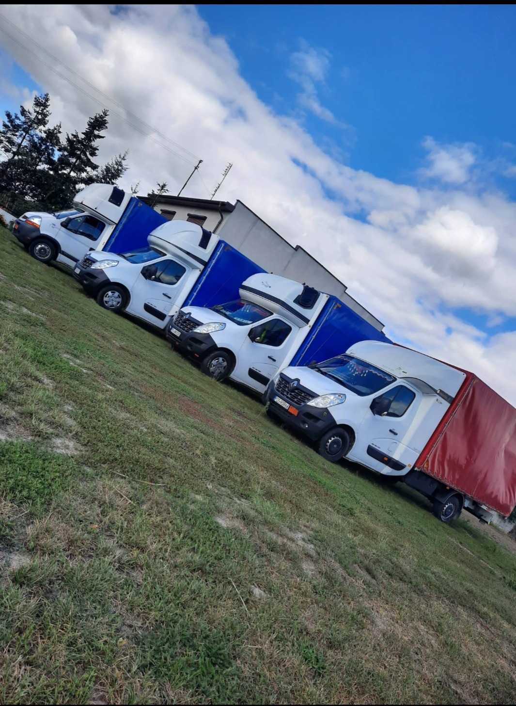 Flota białych samochodów dostawczych z plandekami w kolorze niebieskim i czerwonym, zaparkowana na trawiastym terenie pod błękitnym, obłocznym niebem.