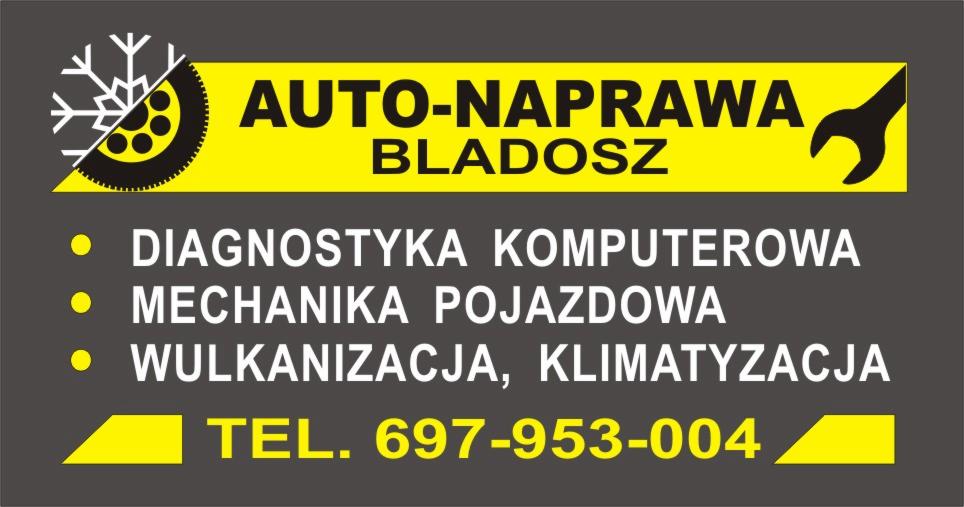 Przeglady i Diagnostyka