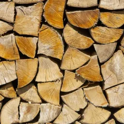 Szczegółowe ujęcie stosu pociętych, wysuszonych klocków drewna o wyraźnych słojach i naturalnych pęknięciach, ułożonych warstwami pod bezpośrednim światłem słonecznym.