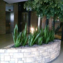 Półokrągła donica z kamienia w biurowcu, wypełniona zielonymi roślinami i małym drzewkiem. W tle widoczna winda i przeszklone drzwi, co sugeruje wnętrze budynku.