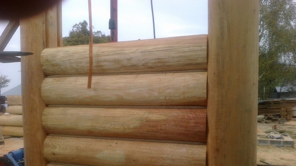 Fragment ściany z bali, z widocznymi spoinami uszczelnionymi sznurem, w trakcie budowy.