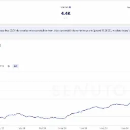 Sklep naszego klienta, który pod zdecydowaną większość kluczowych fraz z jego branży osiągnął TOP1