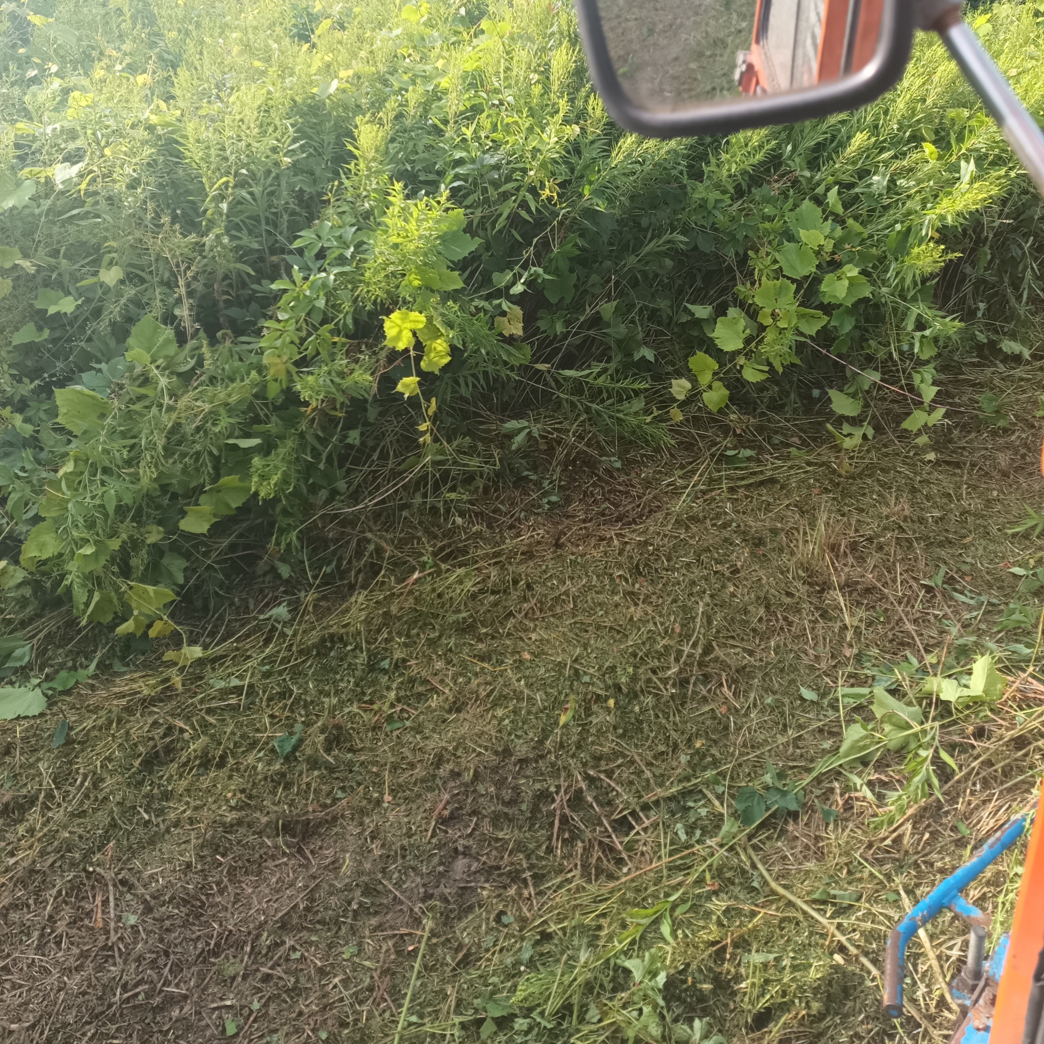 Świeżo skoszone chwasty i zarośla widziane z perspektywy operatora kosiarki, fragment lusterka i maszyny w kadrze.