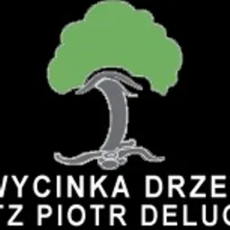Graficzne logo firmy z zielonym drzewem na czarnym tle i białym napisem 'WYCINKA DRZEW ZTZ PIOTR DELUGA'.