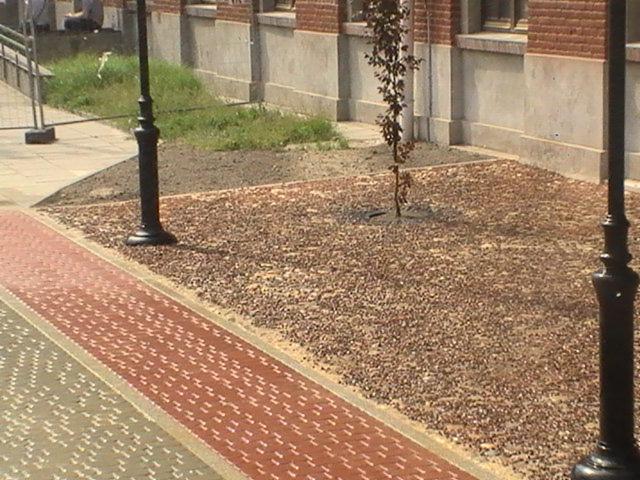 Czerwono-szara kostka brukowa z ozdobnym wzorem, obok rabata wysypana drobnym kamieniem z młodym drzewkiem i czarnymi latarniami w tle budynku z cegły.