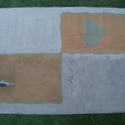 Czyszczenie dywanu z wzorem liścia w Starym Mieście za pomocą odkurzacza piorącego. Widoczny fragment czystej powierzchni dywanu.