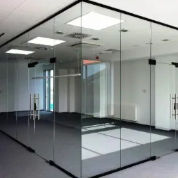 Szklana ścianka działowa z drzwiami, czarne ramy, widok na puste biuro z szarym dywanem i białymi ścianami, sufit kasetonowy z oświetleniem.