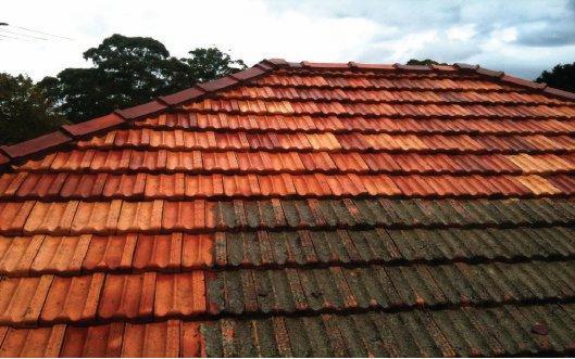 Częściowo oczyszczony dach z czerwonej dachówki ceramicznej, widoczna różnica w kolorze między umytą a zabrudzoną powierzchnią, drzewa i pochmurne niebo w tle.