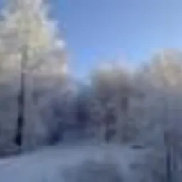 odśnieżanie chodników dachów podjazdów parkingów