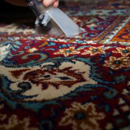 STEAM LUX S.C Paweł Miara, Piotr Ochrymiuk - Pranie ekstrakcyjne dywanów, wykładzin i tapicerki meblowej