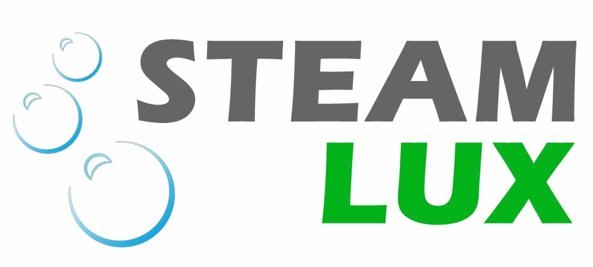 Logo firmy Steam Lux z trzema stylizowanymi bąbelkami po lewej stronie, szary napis STEAM nad zielonym napisem LUX.