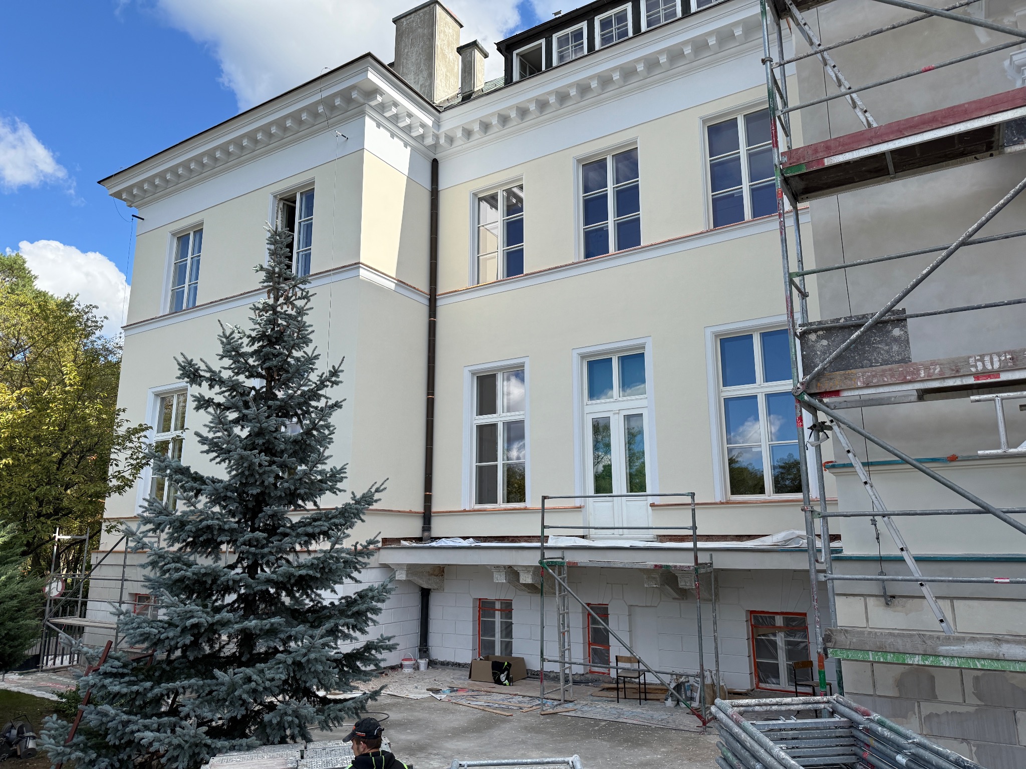 Elewacja budynku w trakcie renowacji z widocznymi rusztowaniami i zabezpieczonymi oknami, na pierwszym planie srebrny świerk.