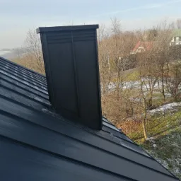 Nowoczesny, czarny komin na dachu z blachy na tle zimowego krajobrazu z drzewami i śniegiem.