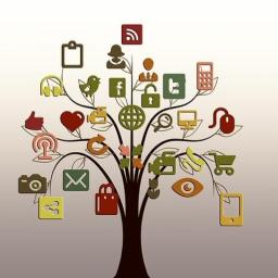 Social media: Facebook, Twitter, Google + i inne
