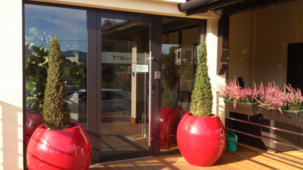 Eleganckie, dwuskrzydłowe drzwi szklane z ciemną ramą, ozdobione dwoma identycznymi, czerwonymi donicami z formowanymi krzewami, na drewnianym podeście, z widocznym logo firmy na szkle.