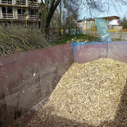 Wycinka drzew Kamień Pomorski 4