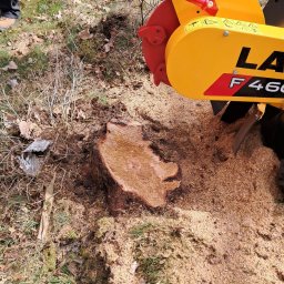 ARKADIAS Arkadiusz Wysocki - Żółto-czerwona frezarka do pni drzew obok ściętego pnia, otoczona wiórami. Widoczne nogi operatora w brązowych butach.