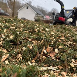 ARKADIAS Arkadiusz Wysocki - Prace działkowe Kamień Pomorski