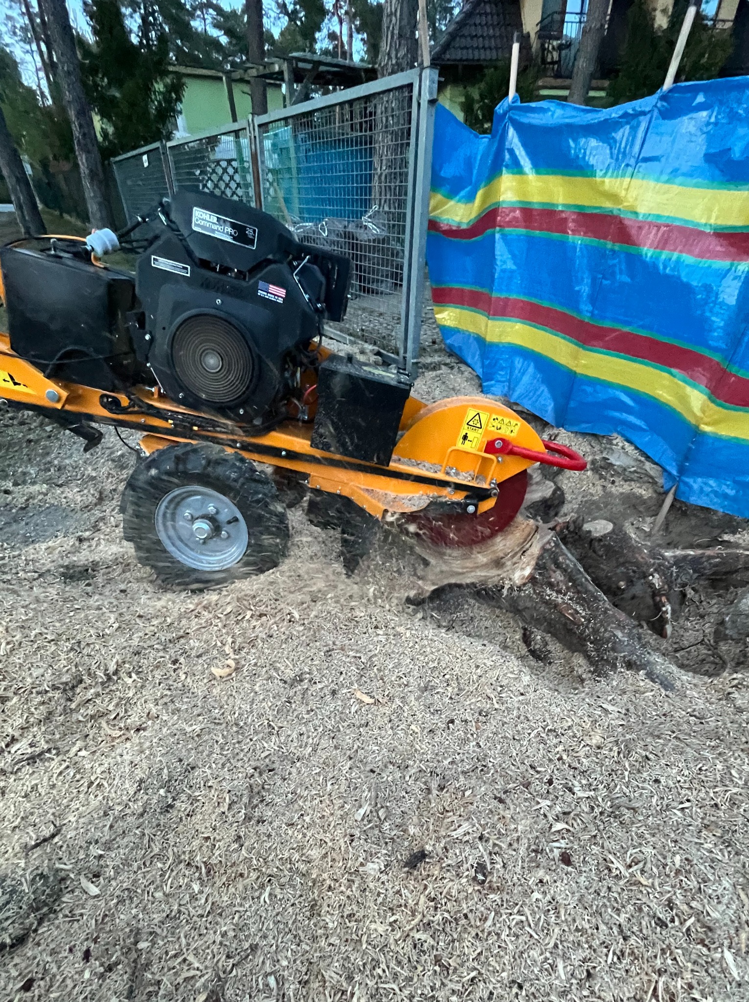 Freza do pni w trakcie pracy, otoczona świeżymi wiórami. W tle siatka ogrodzeniowa i plandeka w paski. Widoczne ostrze tnące i silnik maszyny.