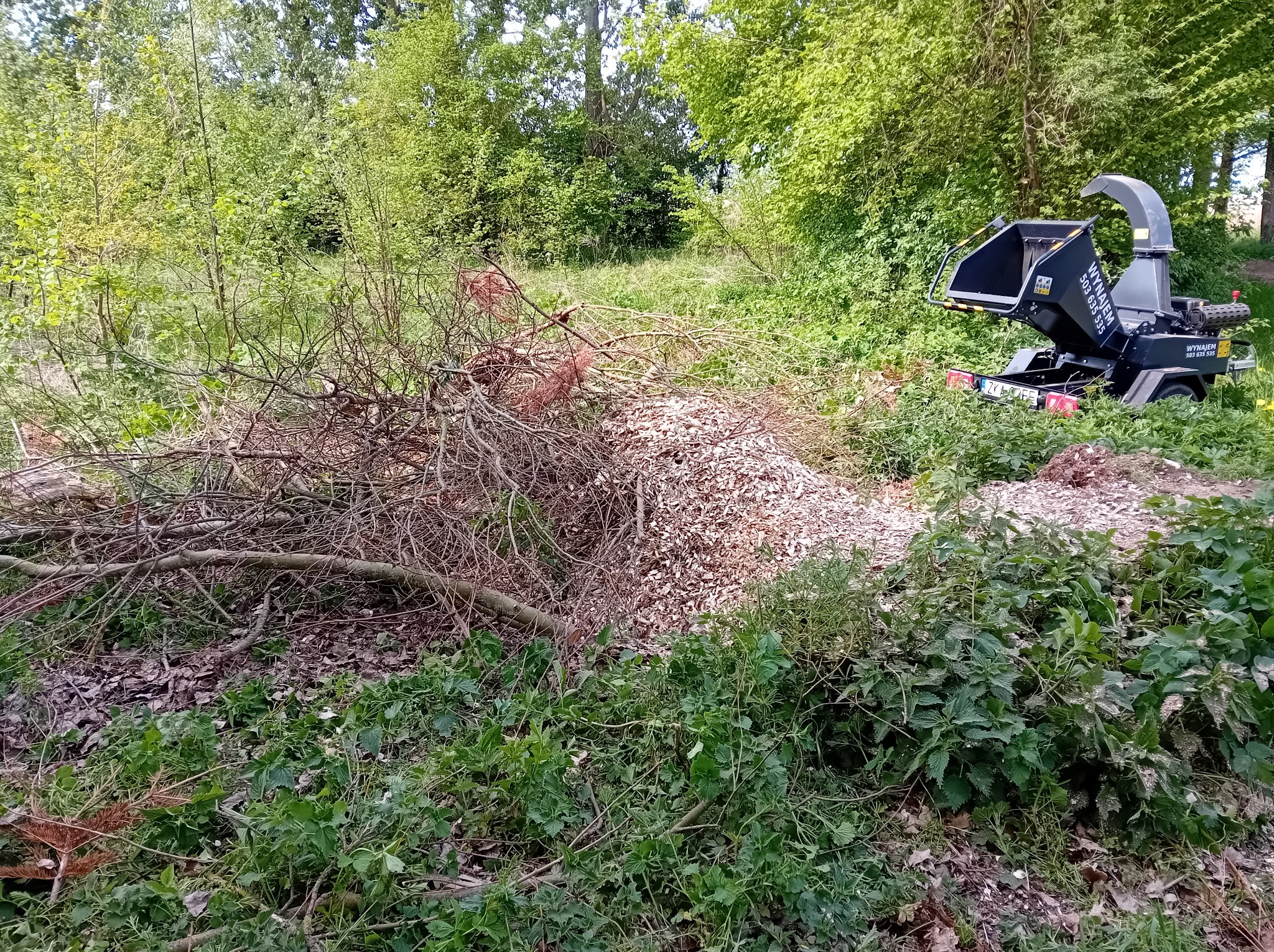 Stos gałęzi przed rębakiem do drewna, w tle zielona roślinność. Widoczne świeże zrębki. Urządzenie na przyczepie z tablicą rejestracyjną.