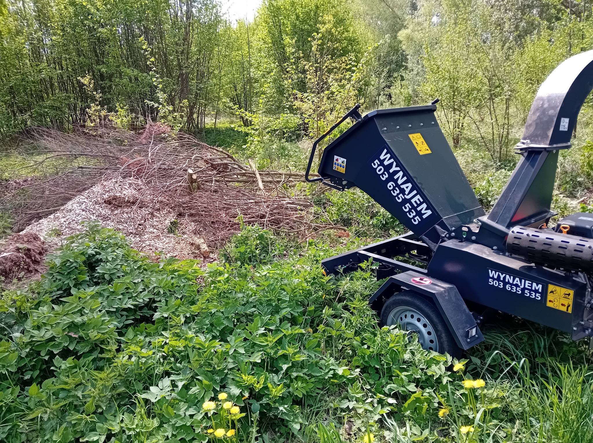 Rozdrabniacz gałęzi z napisem 'Wynajem' na tle sterty gałęzi i zieleni. Maszyna gotowa do pracy w ogrodzie, po wycince.