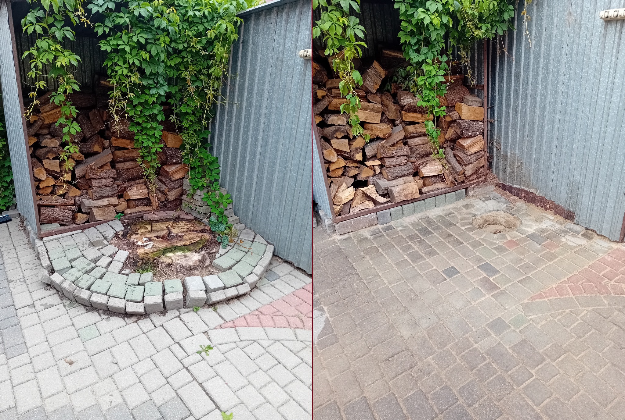 Ułożone drewno kominkowe w metalowej wiacie, obok widoczny fragment wybrukowanego placu z pniakiem po wyciętym drzewie, oplecione bluszczem.
