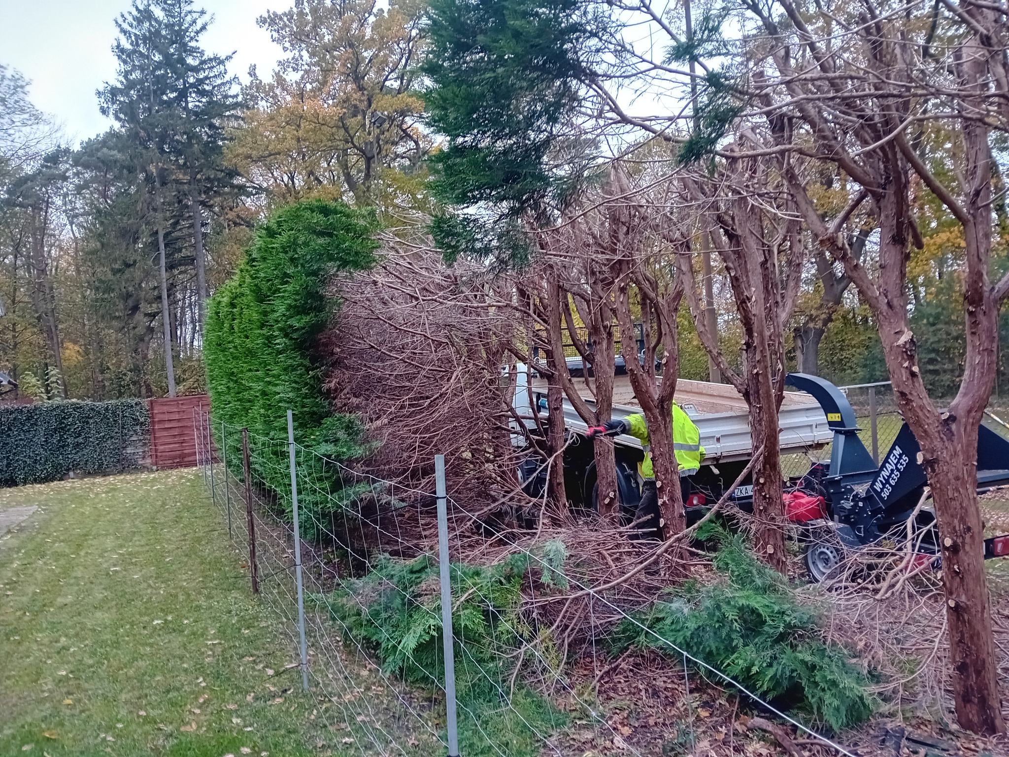 Prace ogrodnicze: przycinanie żywopłotu i gałęzi drzew. W tle pracownik w odblaskowej kamizelce i rębarka do gałęzi. Widoczne ścięte gałęzie na ziemi.