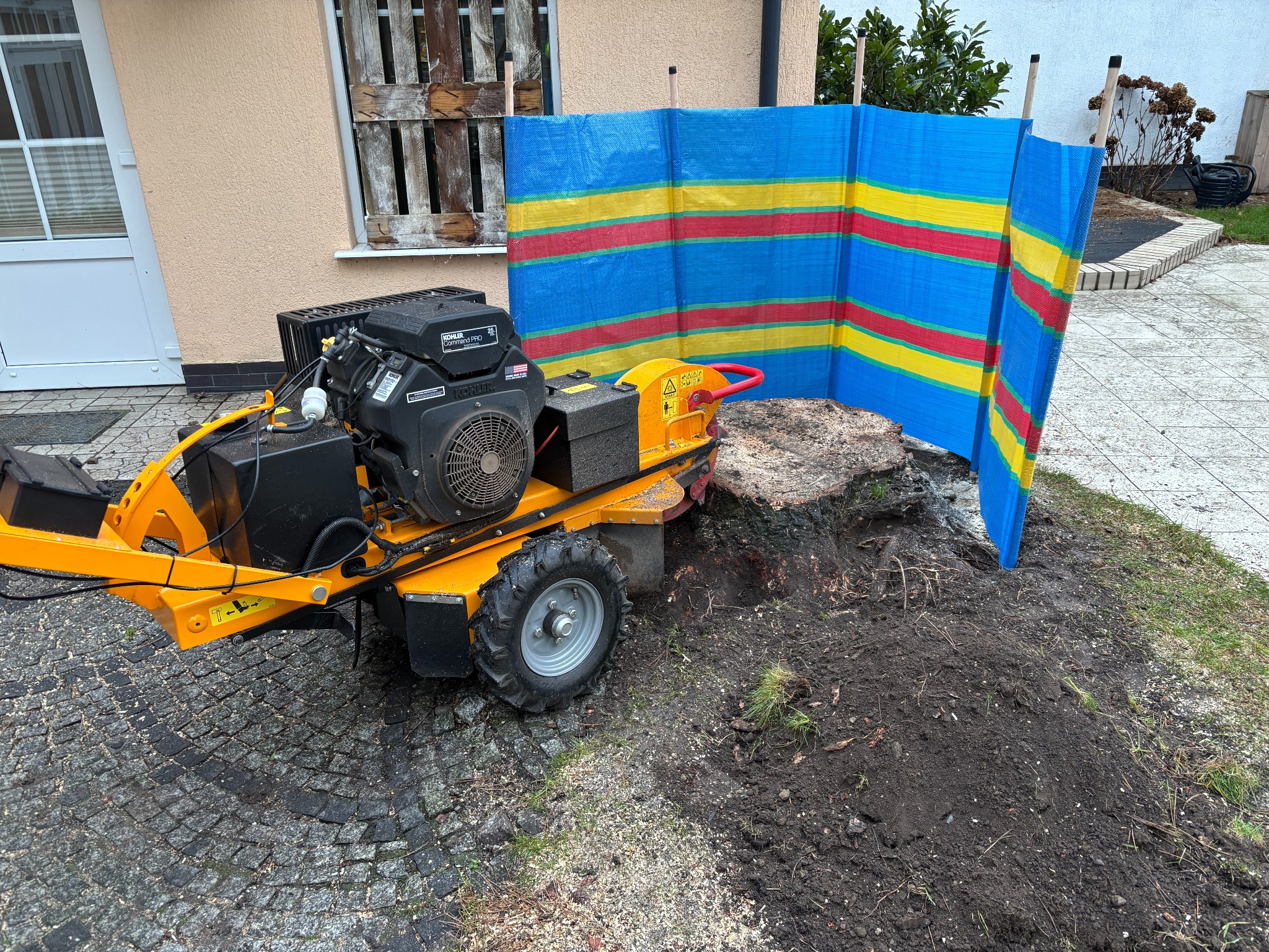 Żółta frezarka do pni drzew z silnikiem spalinowym, zabezpieczona parawanem, na tle kostki brukowej i budynku. Widoczny świeżo sfrezowany pień.