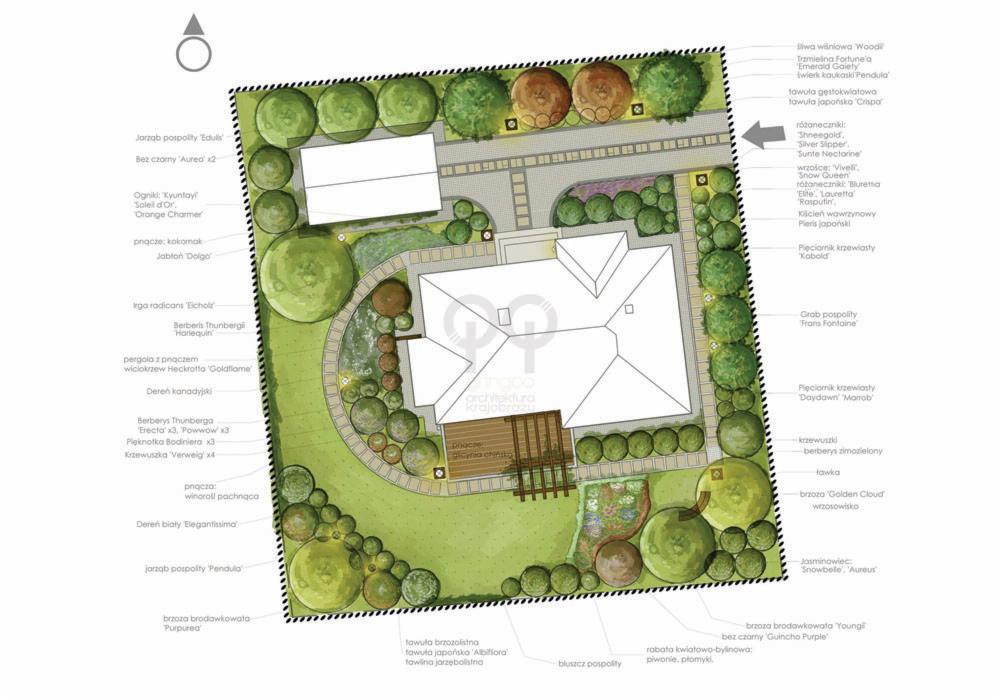 Projekt ogrodu: plan nasadzeń z widokiem z góry, z zaznaczonymi gatunkami roślin, budynkiem i elementami architektury ogrodowej, takimi jak pergola i rabaty.