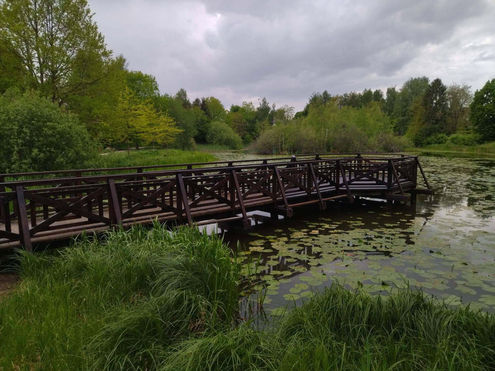 Drewniany mostek nad stawem z liliami wodnymi, otoczony zielenią i drzewami pod pochmurnym niebem. Konstrukcja mostu z geometrycznymi wzorami.