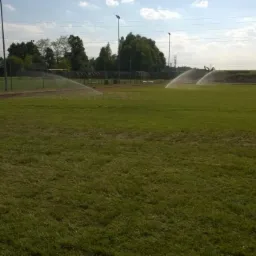 Zraszanie trawy na boisku sportowym w słoneczny dzień. W tle widoczne drzewa i słupy wysokiego napięcia. Zraszacze rozpylają wodę w powietrzu.