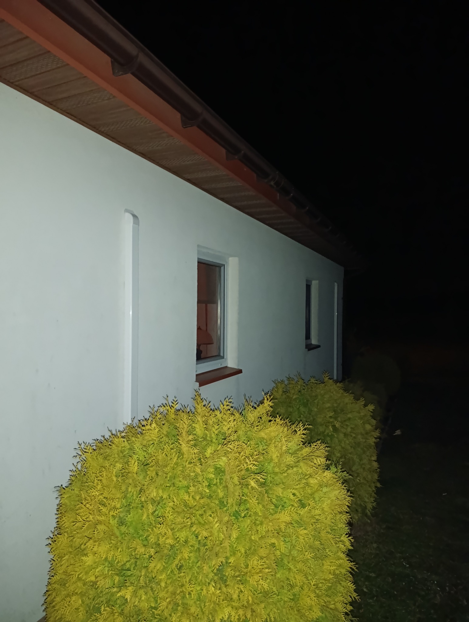 Biały budynek jednorodzinny z brązowym dachem i dwoma oknami, sfotografowany nocą z poziomu krzewów iglastych. Widoczna rura pionowa na elewacji.