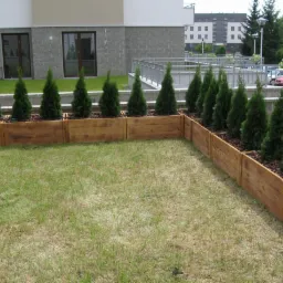 Rząd równo posadzonych, młodych tuj w drewnianych obrzeżach na trawniku, na tle budynku z szarymi elementami elewacji i oknami. Widok na osiedle.