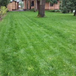 SOSENKA- Adam Wawryło - Idealnie skoszony trawnik z widocznymi pasami, drzewami i elementami architektury ogrodowej w tle. Świeża zieleń trawy, równo przycięta, sugeruje profesjonalną pielęgnację.