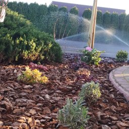 SOSENKA- Adam Wawryło - Perfekcyjne Aranżacje Ogrodów Wołomin