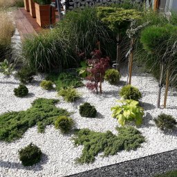 SOSENKA- Adam Wawryło - Osłona z wysokich traw przy tarasie