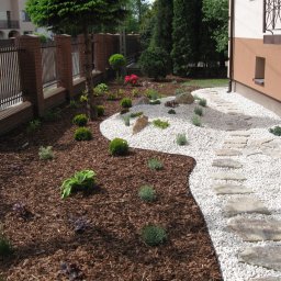 Trawa z rolki Trojany 4