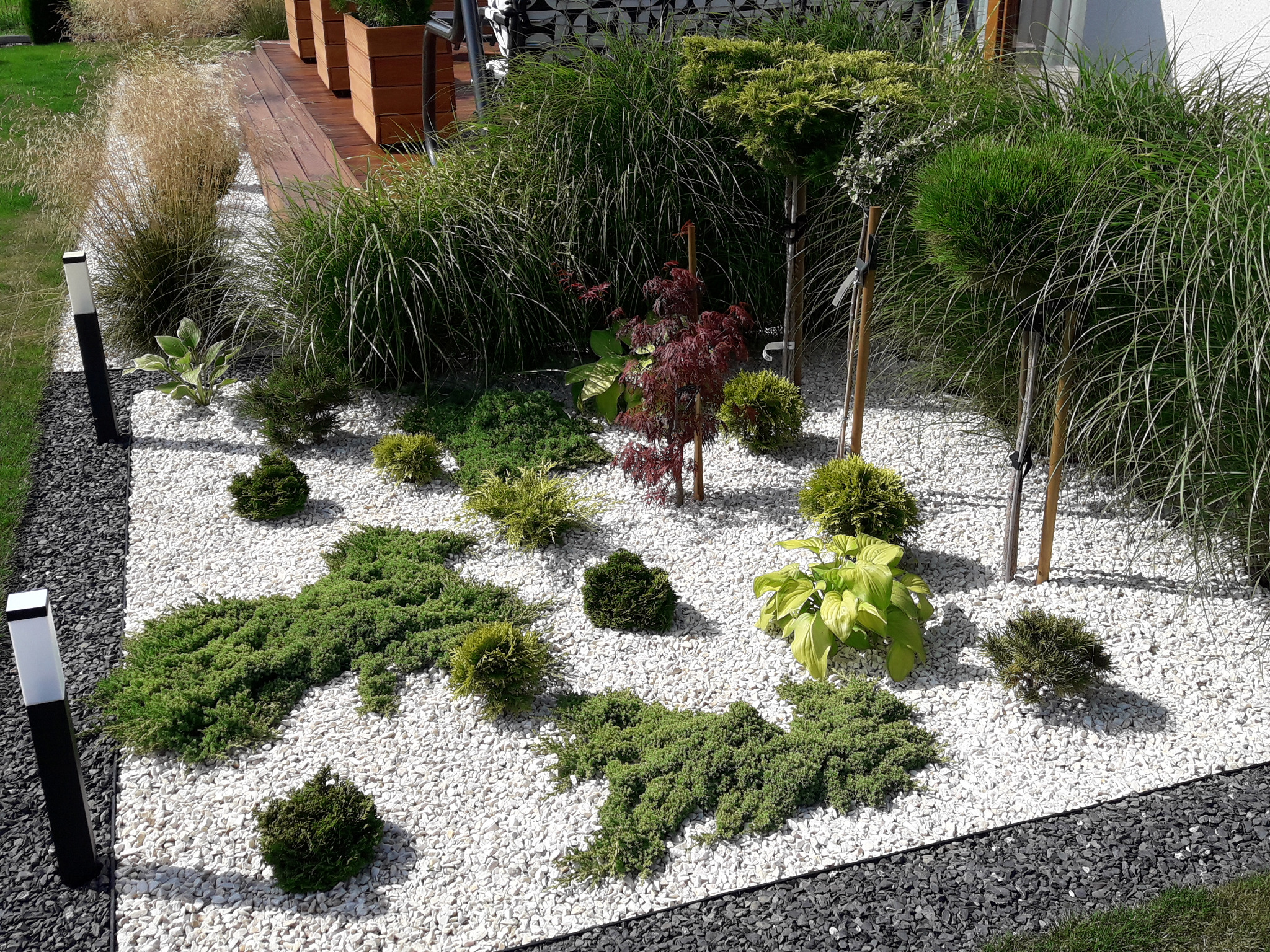 Osłona z wysokich traw przy tarasie