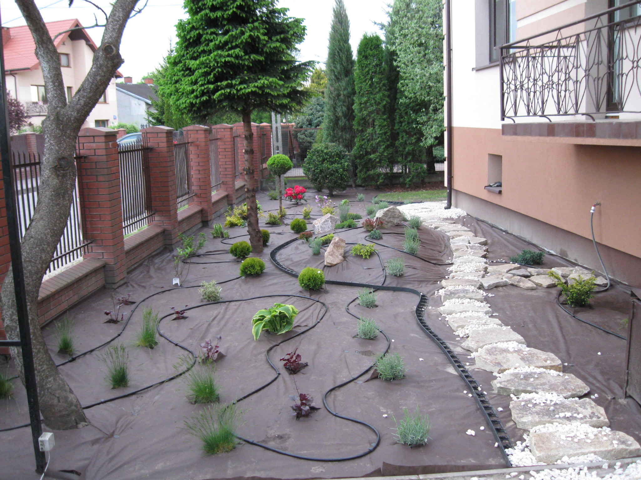 Nowo założony ogród z rozłożoną agrowłókniną, systemem nawadniania i posadzonymi roślinami. Ścieżka z kamieni prowadzi wzdłuż budynku.