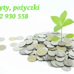 kredyty, pożyczki, hipoteki