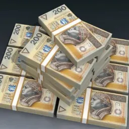 faktoring - jednoosobowe działalnosci gospodarcze, spółki