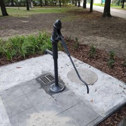 NOWAMONT Mateusz Witek - Żeliwna pompa ręczna do wody na placu wyłożonym szarą kostką brukową, obok studzienka kanalizacyjna z kratą, w tle park z drzewami.
