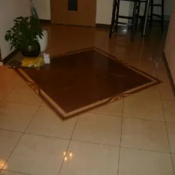 Beżowe płytki podłogowe z ciemnobrązową, kwadratową wstawką z dekoracyjną obwódką, widok z góry, fragment rośliny doniczkowej, drzwi w tle.