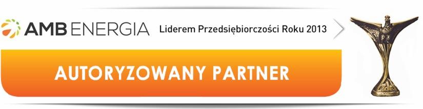 Obniżenie kosztów energii dla firm.